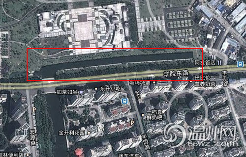 杨府山公园河道成捕鱼场 请手下留情