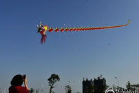 �������ݷ�����