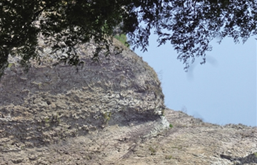 大龙湫成小泥鳅