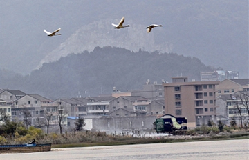 ��С�����Ϣ걽�