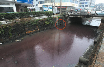 河水被染成紫红色