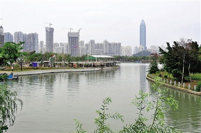 鹿城区“互看互学”项目介绍与点评