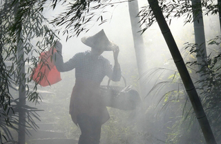 ���Ѿ���ͼ����