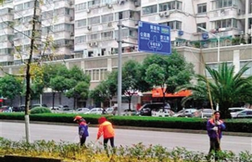 ����Ҷ�������