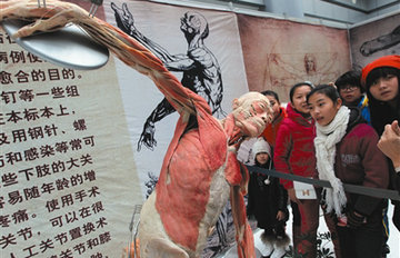 围观人体塑化标本