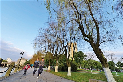 温州亲水平台初“长成” 36个滨水公园改扩建投用