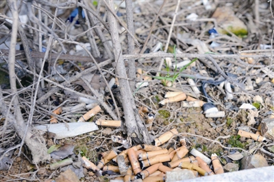 绿化带咋成“垃圾箱”？