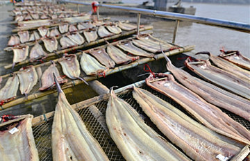 ����ɹ����