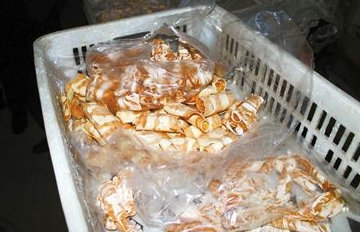 Ѽ���Ƴɼ�����