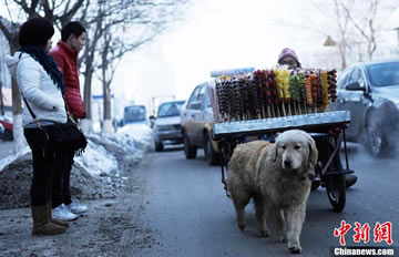 С�� ���벻��