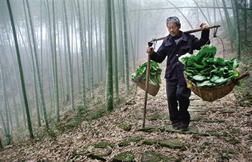 农家菜进市民家