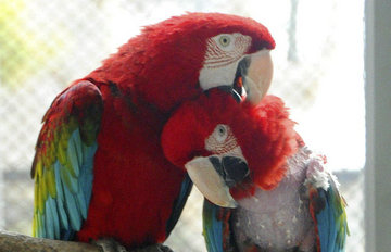 ������������˽�