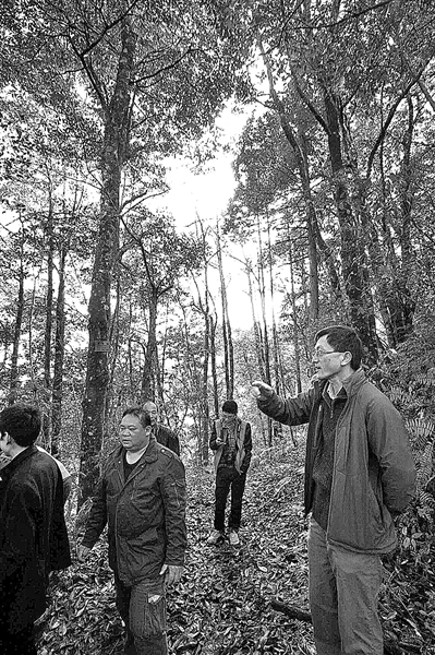 乌岩岭再次发现植物新物种