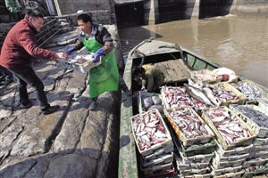 新春第一捕 满载而归