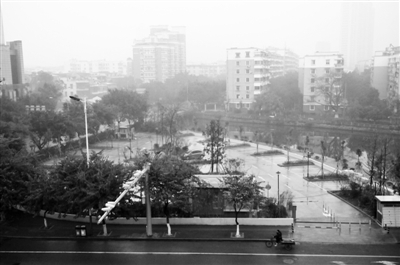 上陡门一带车都停不下了 生态停车场却空空荡荡