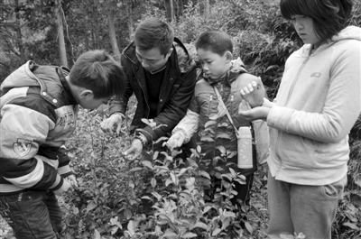 女子雁蕩山安家建書院 “理想國” 雛形已現(xiàn)