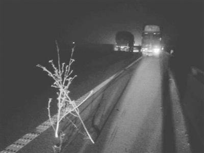 树枝当警示牌 罚200扣3分