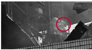 消防队员火场救狗被赞“有爱”