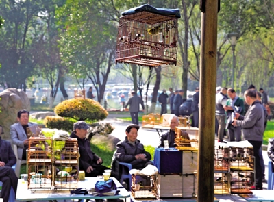 图说温州：处处闻啼鸟