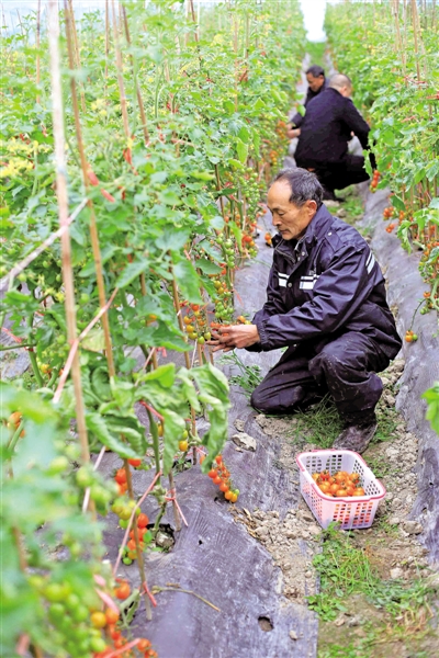 开着越野车巡视农场 IT精英打造实体农场
