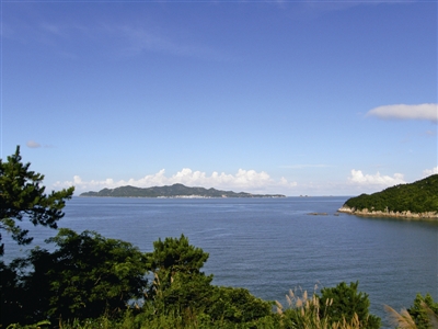 洞头之气：从“绿岛”到“绿肺”