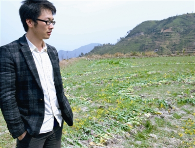 “最浪漫油菜花”倒下了 “心连心油菜花”站起来