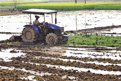 图说温州：春耕