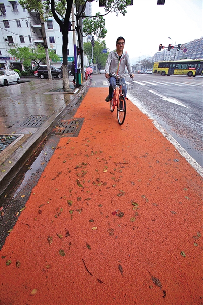 橙色路面 专骑自行车