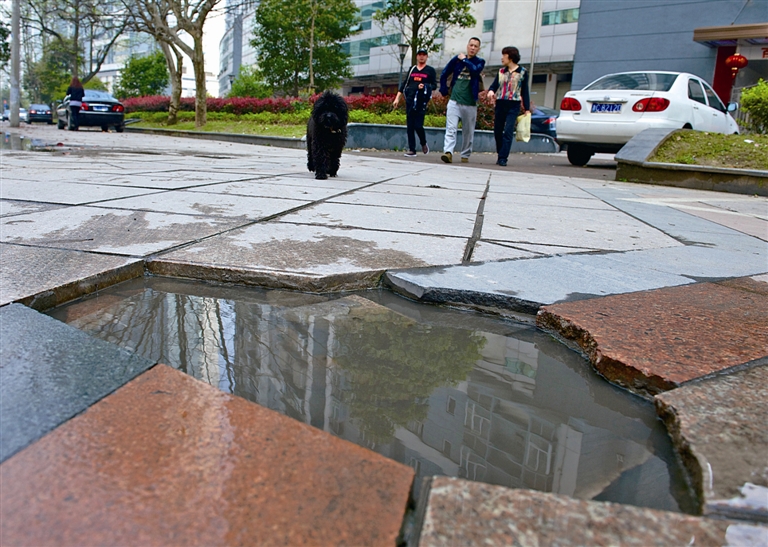 百里路揭“疤”：玻璃幕墙现破洞 人行道上有水坑
