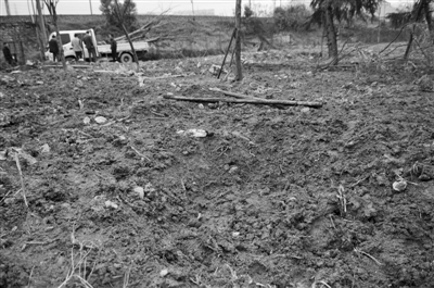 移植树木引发施工公司和街道“口水战”