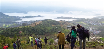 图说温州：茗岙春色 梦幻田园