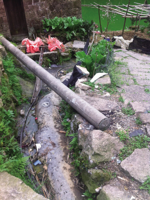 十几家农家乐污水直排水库 清水泛起油污浮着垃圾