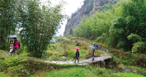 图说温州：雨中漫步泽雅古道