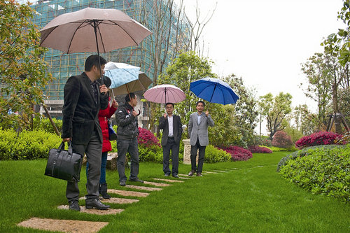 七都岛今年添绿4.7公顷