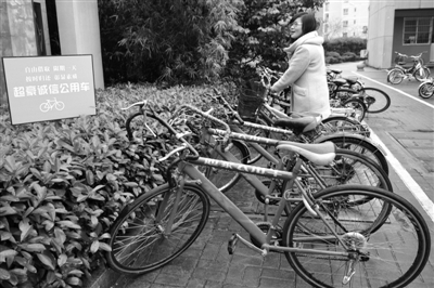 温大试水诚信公共自行车 不办卡不登记不缴押金
