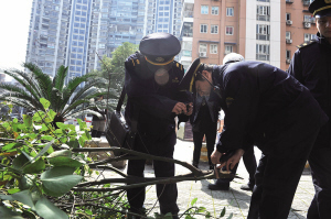 很有韧劲的拆违中队 看看他们四个小时干了多少活