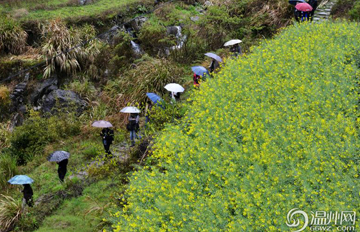 ���Źŵ�ԾȻֽ��