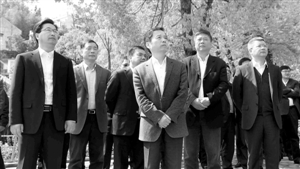 互看互学县(市、区)功能区嗮一季度成绩单