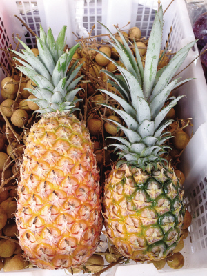 菠萝和凤梨 你分得清吗?
