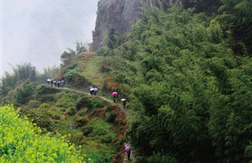 ɭ�����봺��Լ��