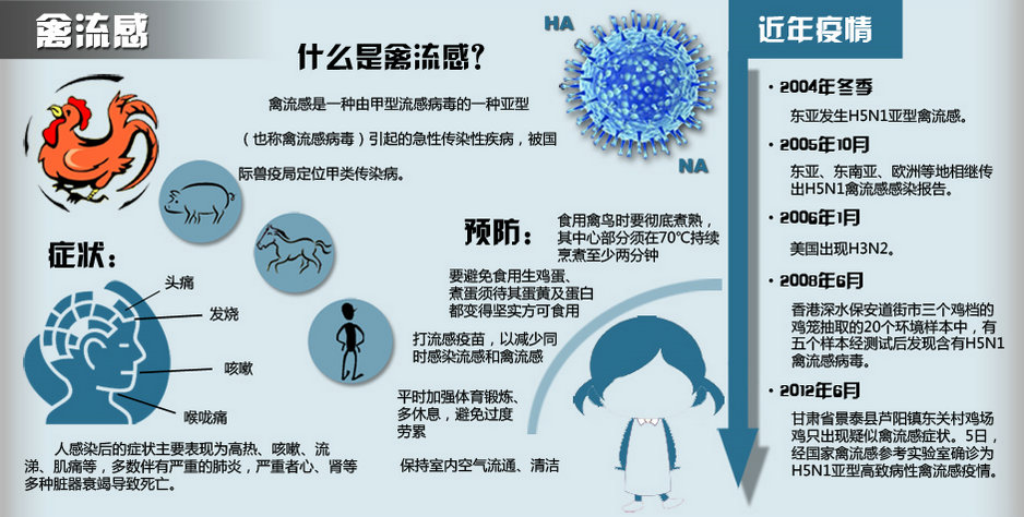 【专题】中国多地出现人感染H7N9禽流感病例 - 专题 - 温州网
