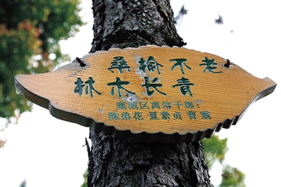 温州创园创森将迎省考 绿满温州离我们还有多远？