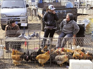 上海4岁感染H7N9禽流感男童康复