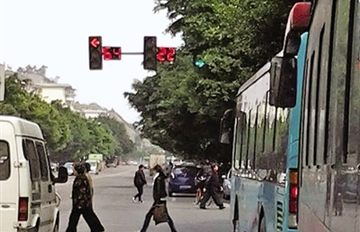 树“吞”红绿灯