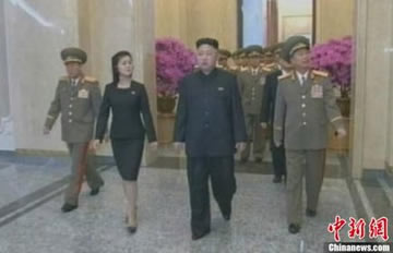 ������¶��