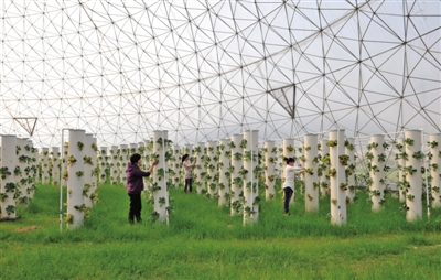 温州首季固定资产投资达324亿元 增幅居全省前列