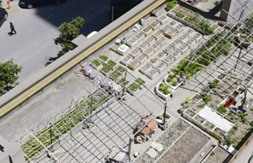 ����¶̨��ũ��