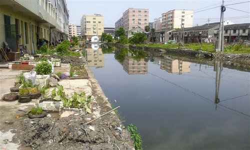 苍南县钱库镇章均垟村"垃圾河"整治前后对比. 图片由网友提供