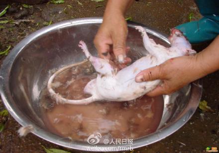 公安部公布十起肉品犯罪案:江苏现鼠肉冒充羊