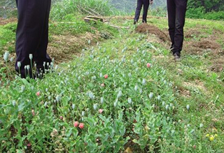 76���ϲ�����891����� ��������������